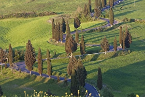 Images Dated 7th May 2009: Winding Road, Monticchiello, Tuscany, Italy