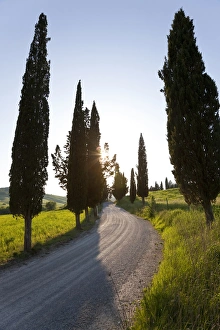 Gravel Prints: Winding road, Tuscany, Italy