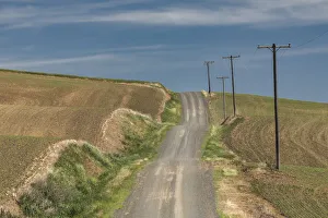 Winding rural road across rolling hills of the Palouse, eastern Washington