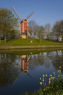 Brugge Prints: Windmill, Gent-Brugge-Oostende Canal, Brugge, Flanders, Belgium