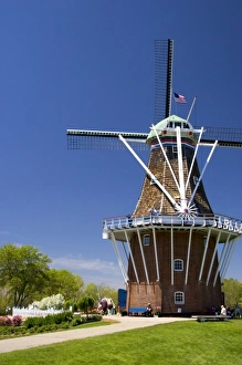 Images Dated 8th May 2006: Windmill Island park with tulips in bloom at Holland, Michigan
