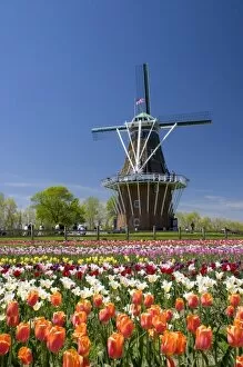 Images Dated 8th May 2006: Windmill Island park with tulips in bloom at Holland, Michigan