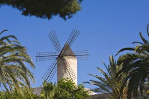 Mallorca Prints: Windmill, Palma, Mallorca, Spain