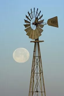 Windmill at sunrise with Full Moon, Canyon, Panhandle, Texas, USA
