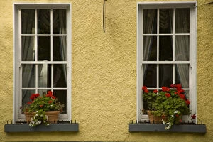 Window boxes, Town of Westport, County Mayo, Ireland, Windows, Flowers