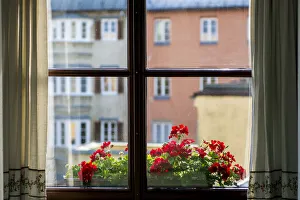 Innsbruck Prints: Window with flower box Old Town, Innsbruck, Tyrol, Austria