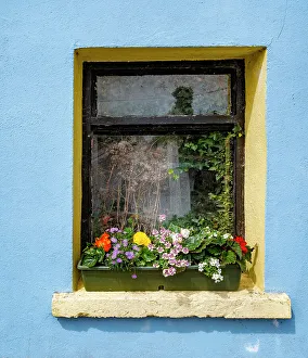 Images Dated 25th January 2023: Window greets visitors in the village of Cong, Connacht County, Ireland