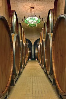 Images Dated 27th September 2010: Wine Barrel room, Castle Banfi, Tuscany, Italy (Editorial Use Only)