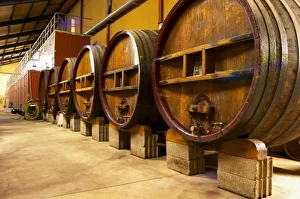 Basement Prints: The wine cellar