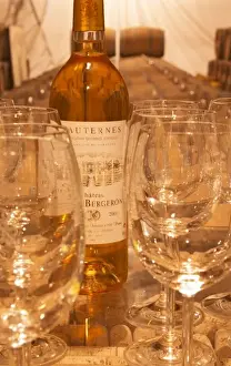 Wine Tasting Prints: Wine tasting in the cellar, glasses