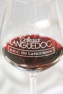 Wine tasting glass against a white background filled with red wine and engraved with