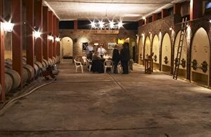 The winemaker and oenologist and a group of wine tasters tasting in the cellar. Bodega