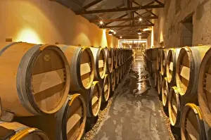 Maturing Prints: The winery with stainless steel fermentation tanks and old wooden barrels barriques Chateau Kirwan