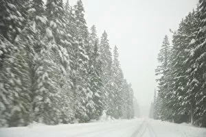 Winter Driving Conditions on Mount Hood, Oregon, USA