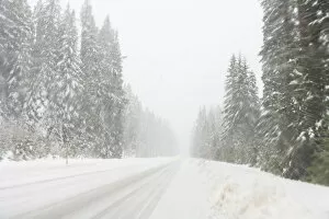 Winter driving conditions on Mount Hood, Oregon, USA
