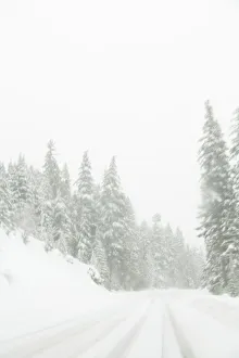 Images Dated 2007 December: 