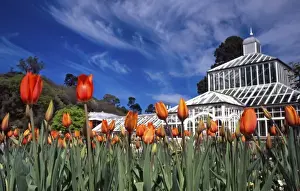 Formal Garden Prints: Winter Garden, Dunedin, New Zealand Botannic Gardens