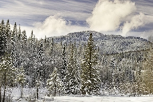 Images Dated 3rd February 2016: Winter mountain scene, Montana