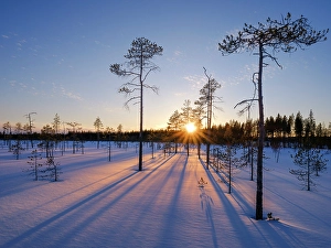 Deep Prints: Winter in the Oulanka National Park in Finnish Lapland