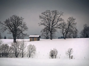 Tegernsee Prints: Winter scene, hill and trees, hut and forboding sky
