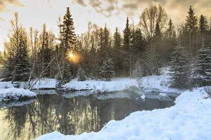 Winter scenics near Fairbanks, Alaska