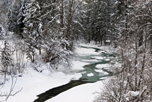 Images Dated 29th December 2007: Winter Stream winding through Forest, Methow Valley, Washington