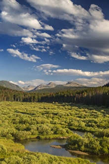 Images Dated 23rd July 2012: The Wise River in the Pioneer Mountains in the Beaverhead-Deer Lodge National Forest