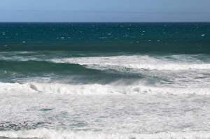 Images Dated 23rd April 2010: Witsand, Cape Town, South Africa