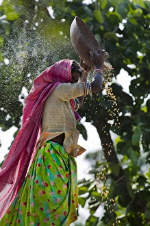 Images Dated 9th November 2006: Woman minnowing, Udaipur, Rajasthan, India. (MR)