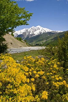 Images Dated 1st June 2010: Wonderful mountain scenery of Svanetia, Georgia