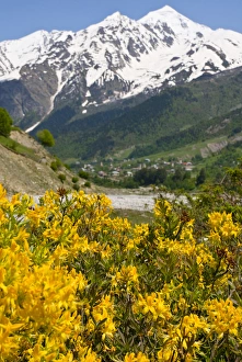Images Dated 1st June 2010: Wonderful mountain scenery of Svanetia, Georgia