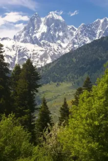 Images Dated 1st June 2010: Wonderful mountain scenery of Svanetia with Mount Ushba in the background, Georgia