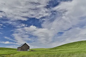 Genesee Prints: Wooden barn in wheat field just north of Genesee, Idaho