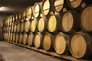 Cornas Prints: Wooden barrels in the wine cellar. Alain Voge, Cornas, Ardeche, Ardeche, France, Europe