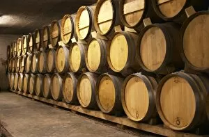 Images Dated 16th April 2005: Wooden barrels in the wine cellar. Alain Voge, Cornas, Ardeche, Ardeche, France, Europe