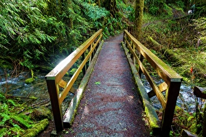 Walkway Prints: Wooden bridge over the Little River