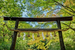 Kyoto Prints: Wooden Torii Gate, Nonomiya Shinto shrine, Arashiyama, Kyoto, Japan