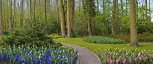 Keukenhof Prints: Woodland spring garden
