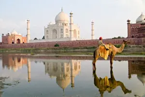 World famous Taj Mahal temple burial site at sunset with young boy on camel