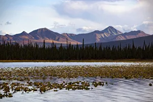 USA, North America, Alaska Prints: Wrangell Mountains, Alaska, USA