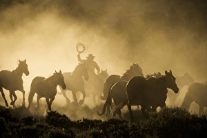 Rope Prints: A wrangler herding horses through backlit dustcloud in golden light of sunrise