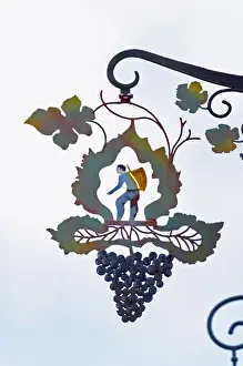 Images Dated 10th August 2015: A wrouight iron painted sign that illustrates the theme of champagne and wine production