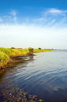 Peace Prints: The WWF Oasis of Lake Burano, Capalbio, Tuscany, Grosseto Province, Italy