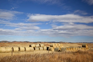 Bale Prints: WY, Crook County, Hay Bales
