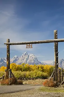 Images Dated 28th September 2008: WY, Grand Teton National Park, Teton Range and Cottonwood trees with ranch gateway