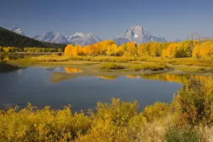Images Dated 1st October 2008: WY, Grand Teton National Park, Teton Range with Mount Moran and Snake River