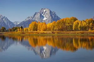 Images Dated 29th September 2011: WY, Grand Teton NP, Mount Moran and aspen trees reflected in Snake River