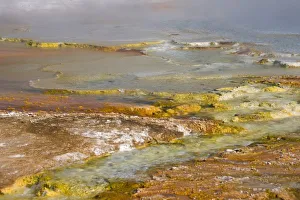 Midway Prints: WY, Yellowstone