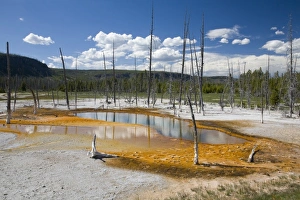 Images Dated 21st June 2008: WY, Yellowstone National Park, Black Sand Basin, Opalescent Pool