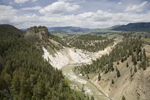 Images Dated 22nd June 2008: WY, Yellowstone National Park, Grand Canyon of the Yellowstone, Tower Junction area